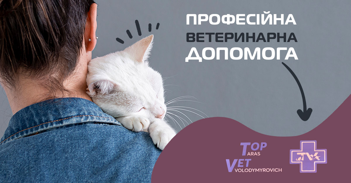 Ветеринарна клініка ✔️ TopVet
